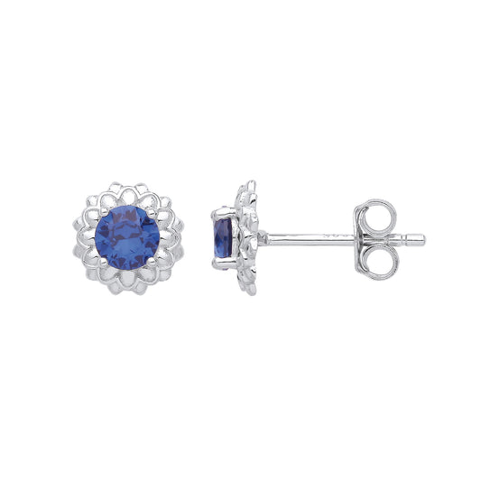 Silver CZ & Sapphire Stud Earrings