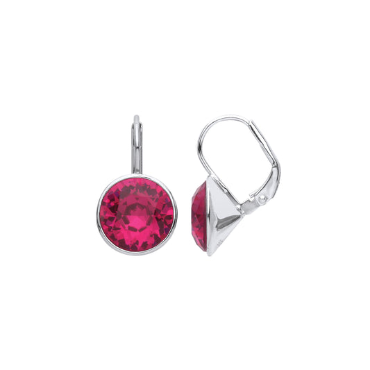 Drop Silver Ruby Fancy Earrings